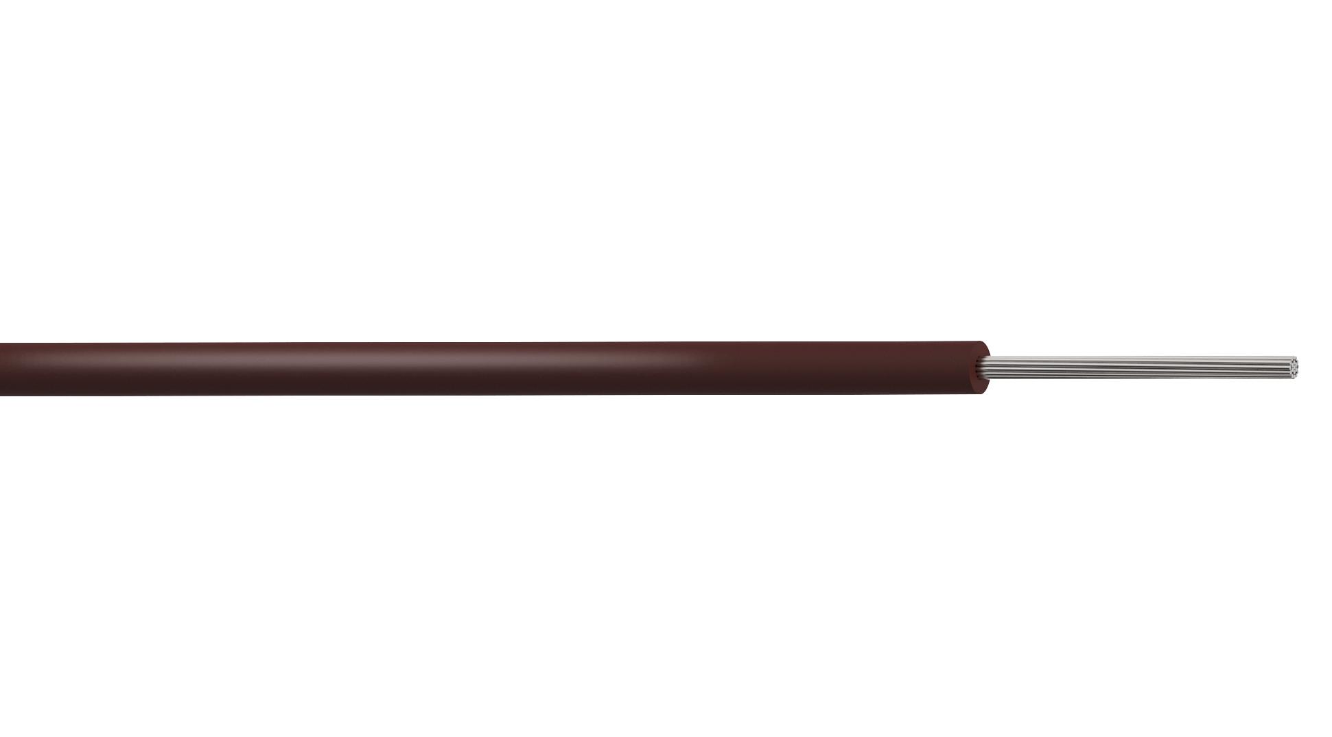 PP001081