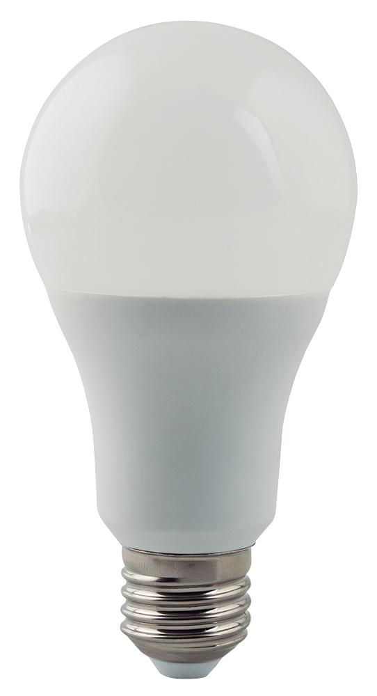 PEL00531