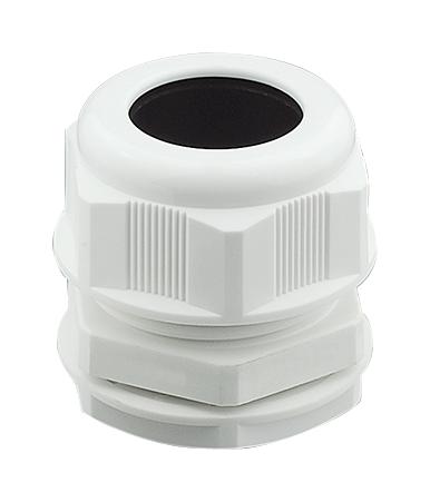 PP002124