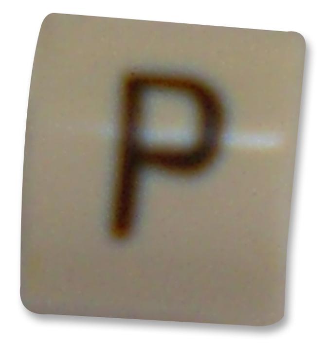 06161925
