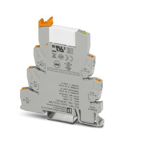 PLC-RPT- 24UC/21AU/RW