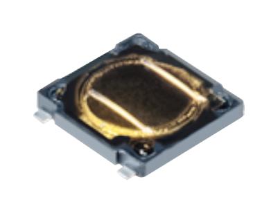 PTS530GN055SMTR LFS