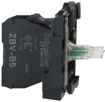 ZBVB5