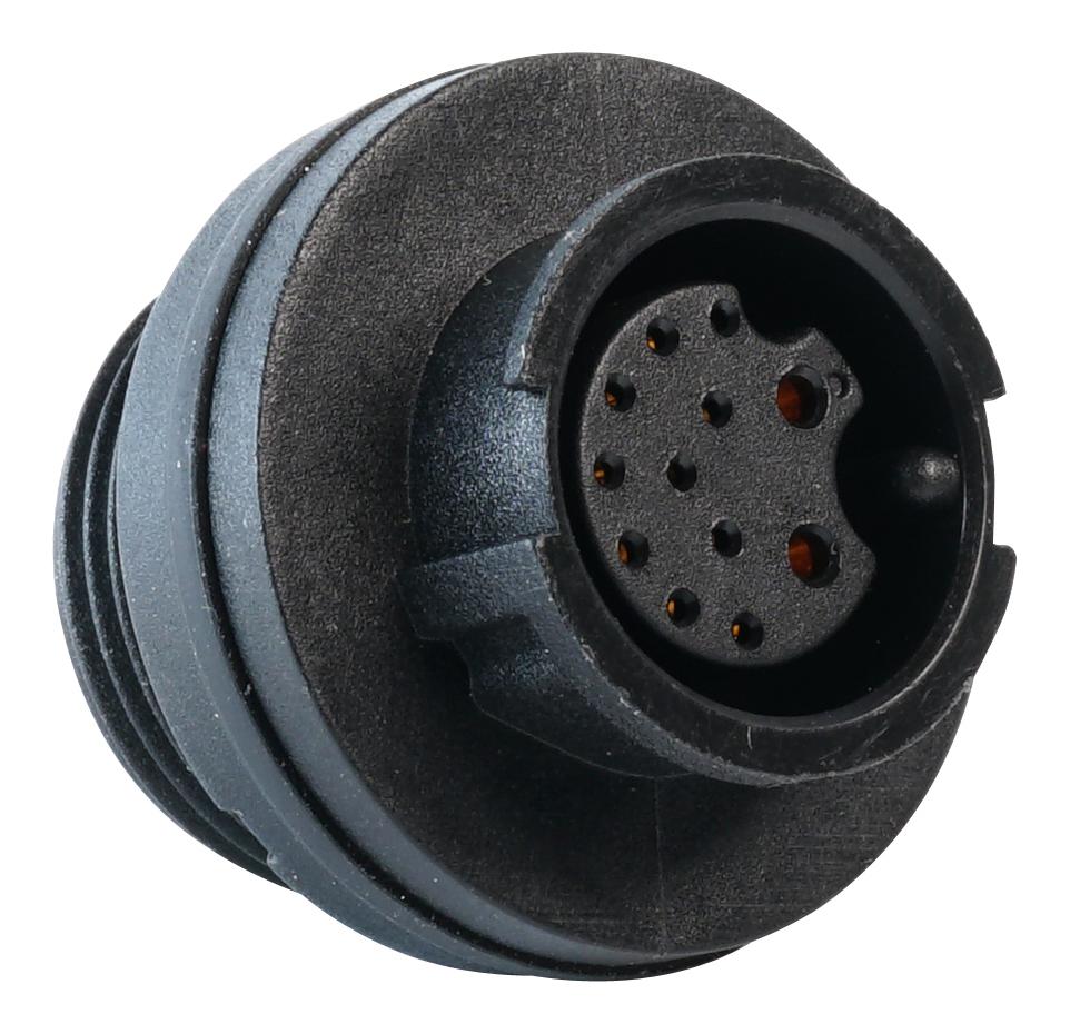 MP002501