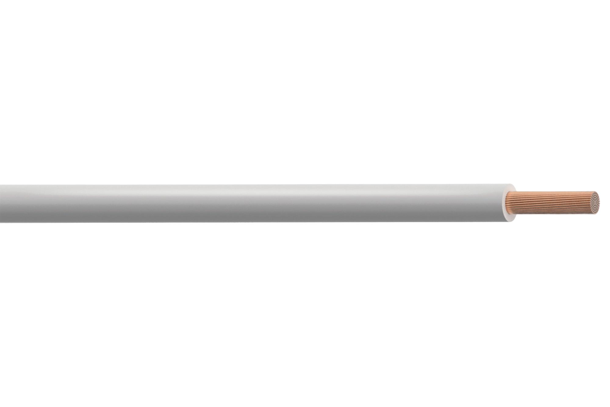 PP001289