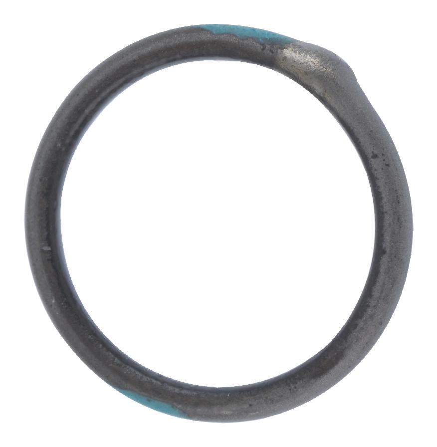 TR05AI-TINEL-LOCK-RING